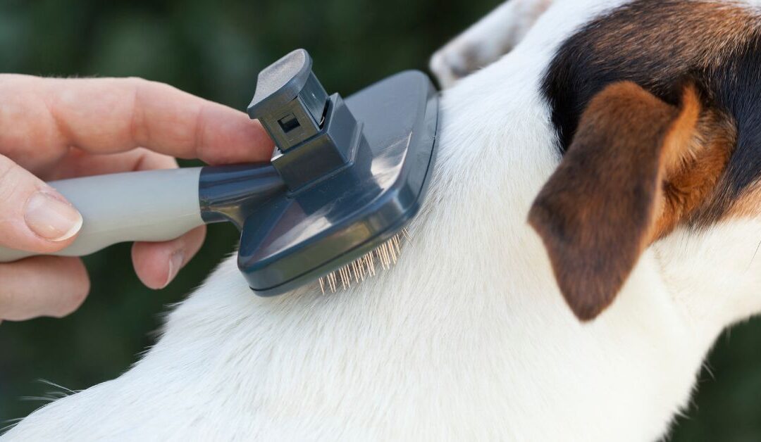 Simplify Pet Grooming & Hygiene: How the 2-in-1 Vacuum Pet Hair Trimmer Makes Bath Time a Breeze.
